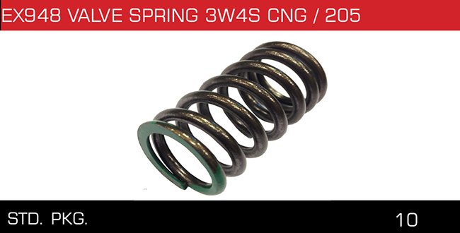 EX948 VALVE SPRING 3W4S CNG 205